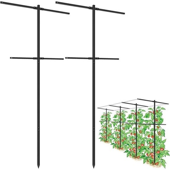 10 Best Raspberry Supports for 2026 2 2 pack metal trellis for climbing plants