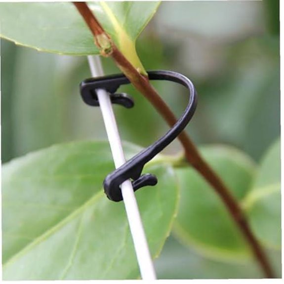 10 Best Wire for Raspberry Trellis in 2026 8 300 piece grape vine trellis clips
