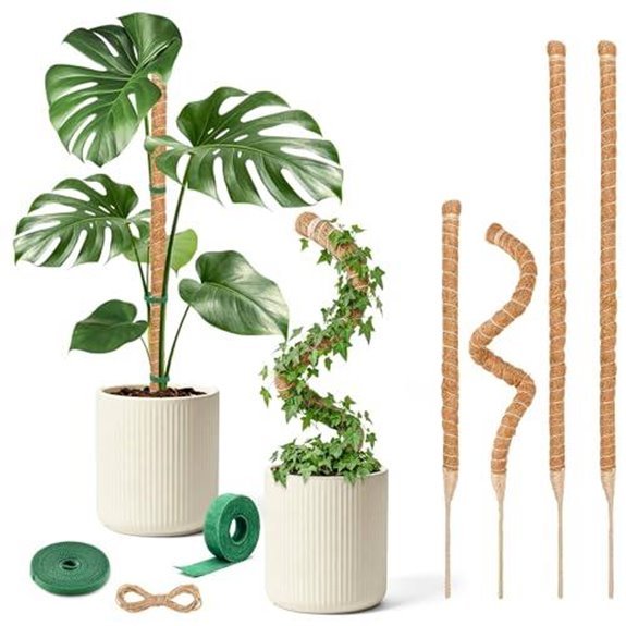10 Best Poles for Monstera Deliciosa in 2026 3 4 pack bendable moss pole for climbing plants