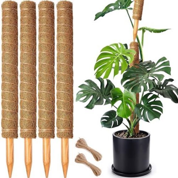10 Best Poles for Monstera Deliciosa in 2026 2 4 pack stackable moss poles