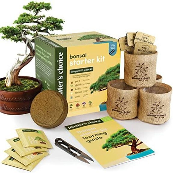 10 Best Plants to Give a Man in 2026 1 a container for plants