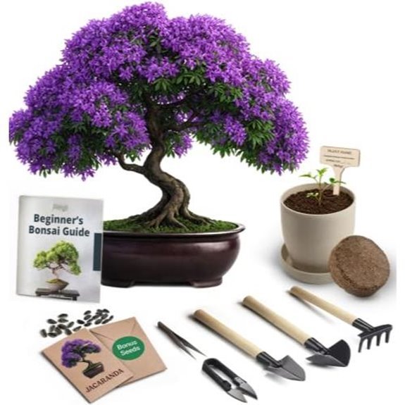 10 Best Plants to Give a Man in 2026 2 avergo bonsai starter kit