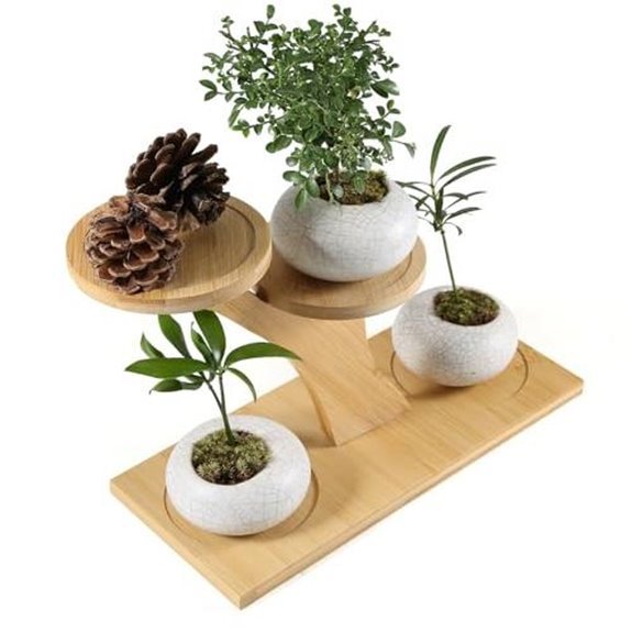 15 Best Places for a Spider Plant in 2026 10 bamboo plant stand display