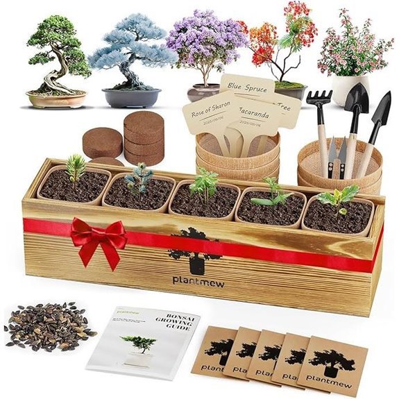 bonsai kit with five seeds