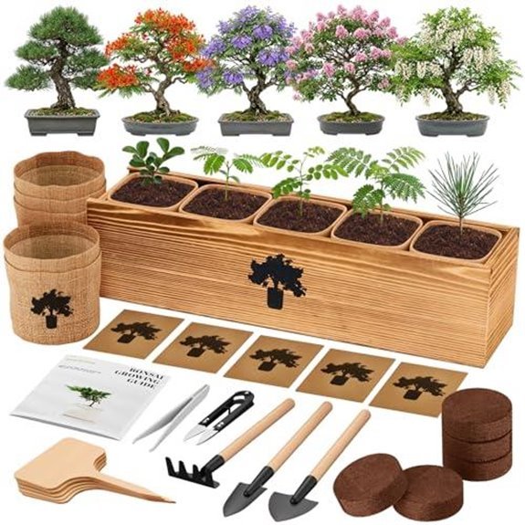 10 Best Plants to Give a Man in 2026 5 bonsai kit with seeds
