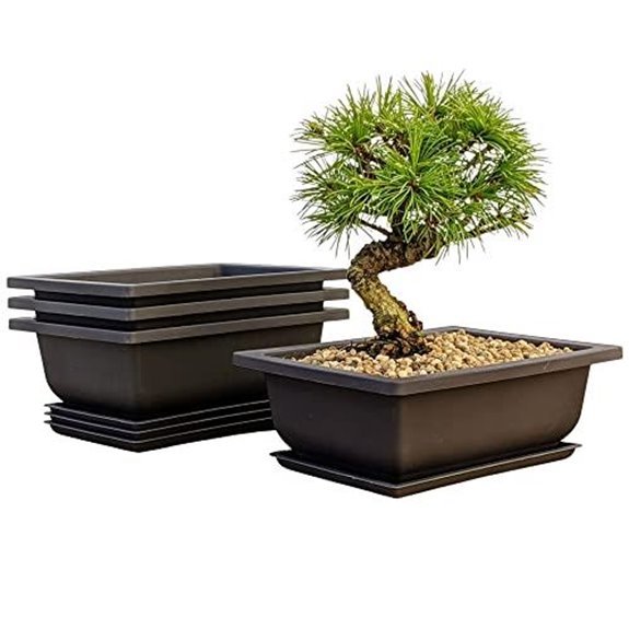 10 Best Bonsai Pots for 2026 (Your Trees Deserve Better) 1 bonsai outlet training pots