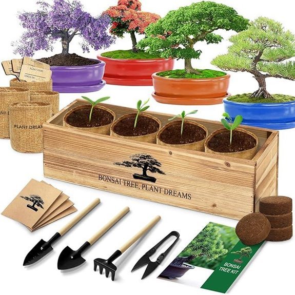 bonsai starter kit seeds