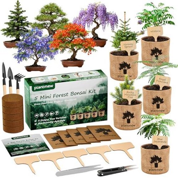 10 Best Plants to Give a Man in 2026 3 bonsai starter kit with jacaranda seeds