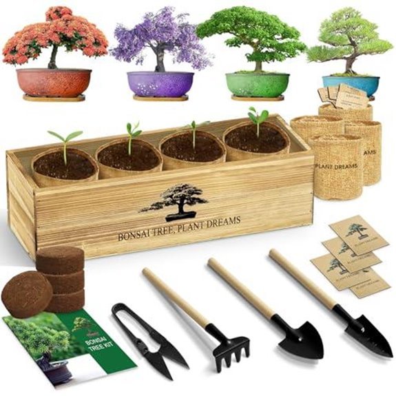 10 Best Plants to Give a Man in 2026 7 bonsai tree starter kit