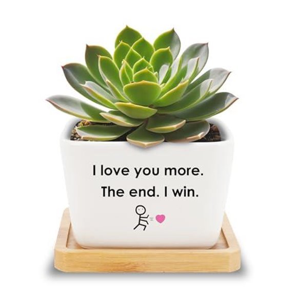 10 Best Plants to Gift Your Boyfriend in 2026 6 boyfriend succulent pots gift
