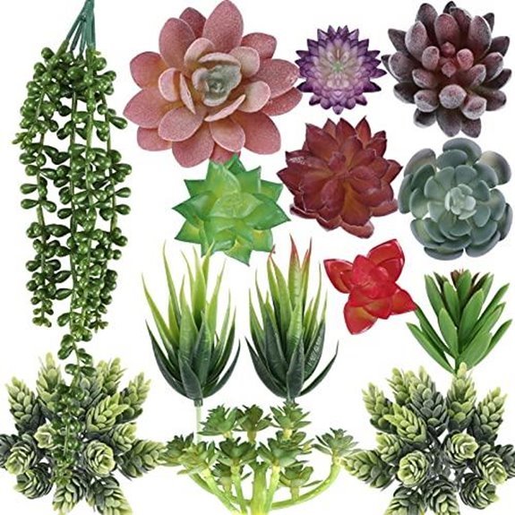 cewor 14pcs succulent set