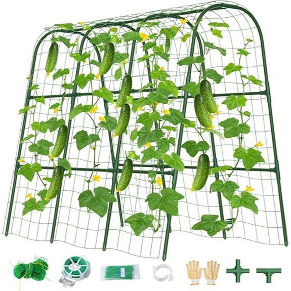 cucumber garden trellis outdoor