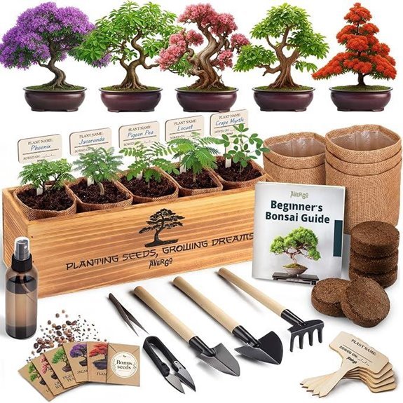 deluxe bonsai kit five trees