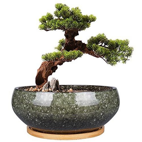 10 Best Bonsai Pots for 2026 (Your Trees Deserve Better) 2 eight inch ceramic bonsai planter