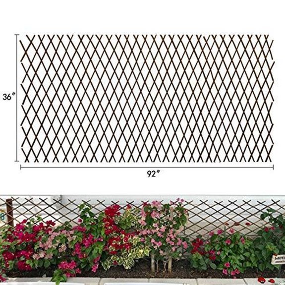10 Best Climbers for Fences to Transform Your Garden in 2026 4 expandable willow garden trellis