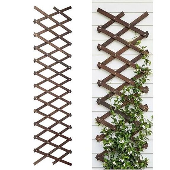 10 Best Climbers for Fences to Transform Your Garden in 2026 5 expandable wood garden trellis