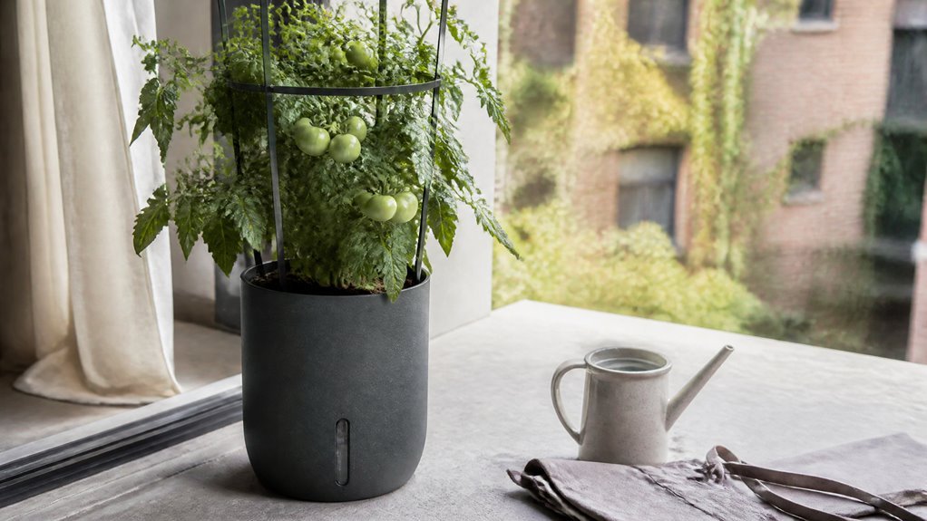 five top tomato planters 2026