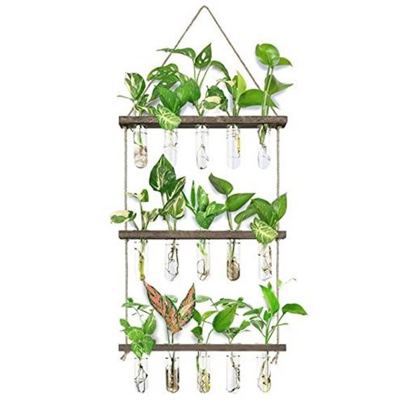 15 Best Places for a Spider Plant in 2026 9 flower propagation station with tubes
