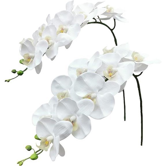 fnize white orchid stems 2