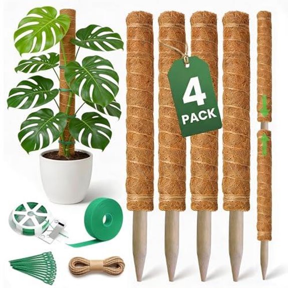 7 Best Monstera Support for 2026 (Help Them Climb High) 2 four moss poles for plants