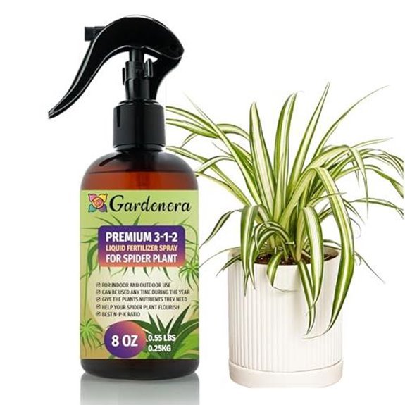 15 Best Places for a Spider Plant in 2026 4 gardenera spider plant fertilizer spray