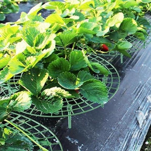 10 Best Raspberry Supports for 2026 9 gardening tools with rack