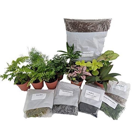 15 Best Terrarium Kits for 2026 (Bring Nature Indoors) 13 german violinist hirt s