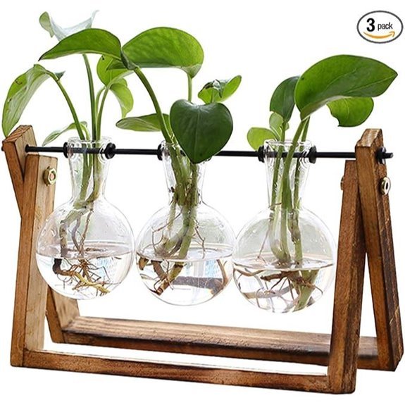 15 Best Places for a Spider Plant in 2026 13 glass plant terrarium with wooden stand 3 bulb