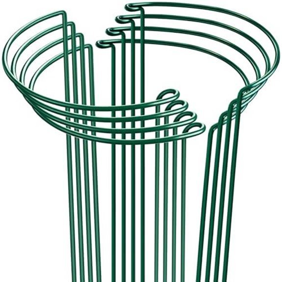 10 Best Raspberry Supports for 2026 10 higift 8 pack metal plant support stakes