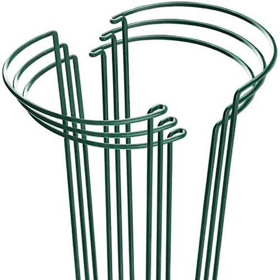 10 Best Raspberry Supports for 2026 1 higift metal peony cages 6 pack