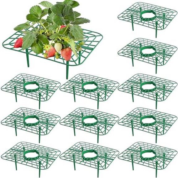 10 Best Raspberry Supports for 2026 7 iceyyyy 12 pack strawberry racks