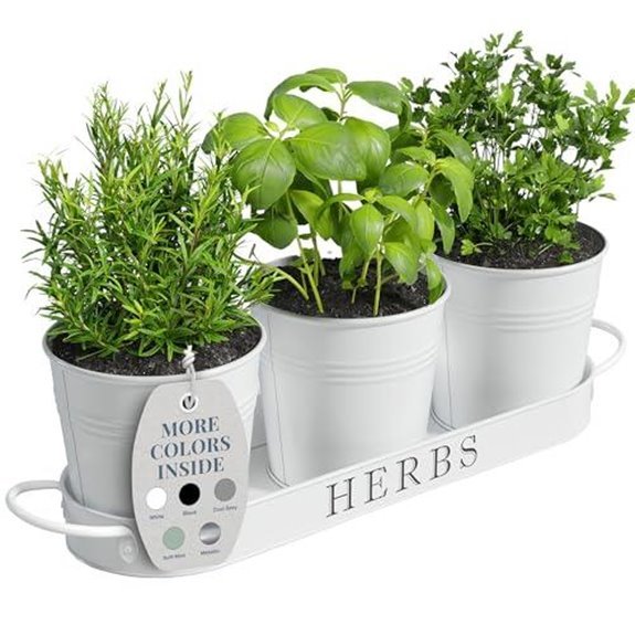 7 Best Herb Garden Containers for 2026 (Grow Like a Pro) 3 indoor herb planter set 3