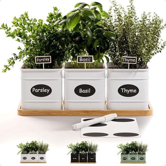 7 Best Herb Garden Containers for 2026 (Grow Like a Pro) 2 indoor herb planter set with drainage holes
