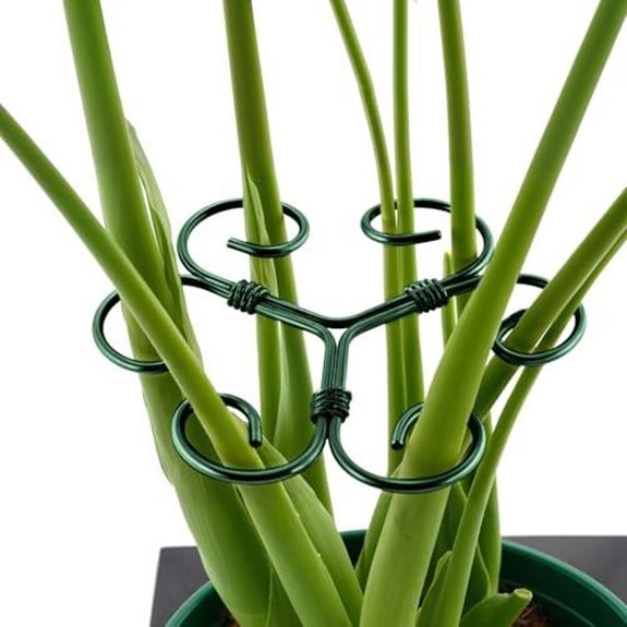 7 Best Monstera Support for 2026 (Help Them Climb High) 3 iron man monster plant support stakes 4 pack