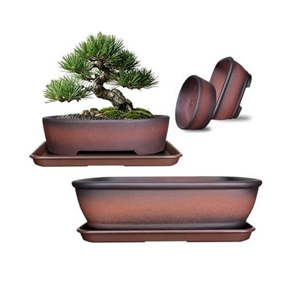 10 Best Bonsai Pots for 2026 (Your Trees Deserve Better) 6 kyoyi ceramic bonsai pots