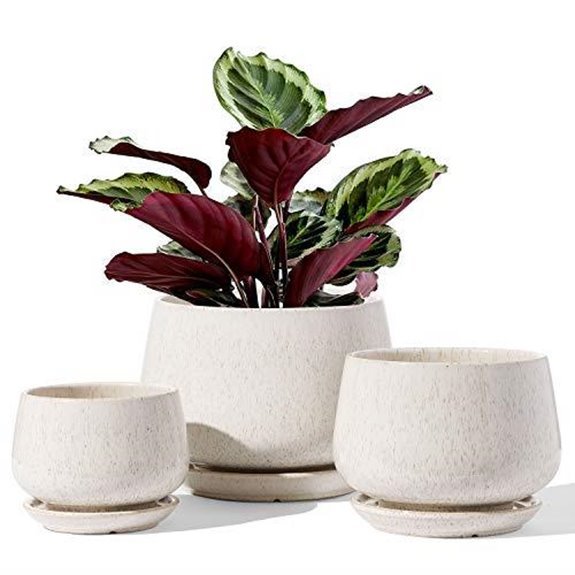 10 Best Indoor Planters for 2026 3 le tauci ceramic pots