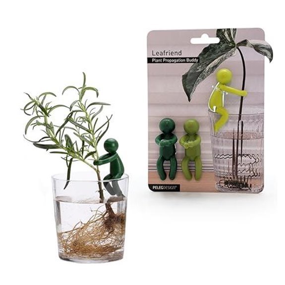 10 Best Plants to Gift Your Boyfriend in 2026 10 leafriend plant propagation support set