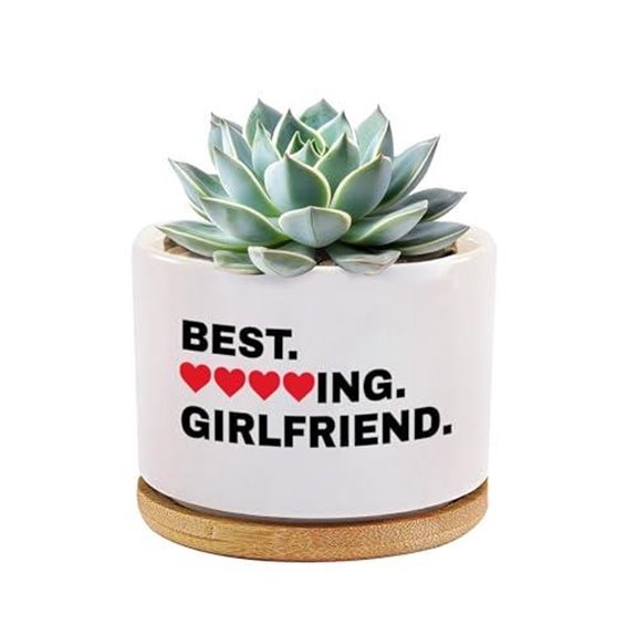 10 Best Plants to Gift Your Boyfriend in 2026 4 loovelo romantic succulent pot
