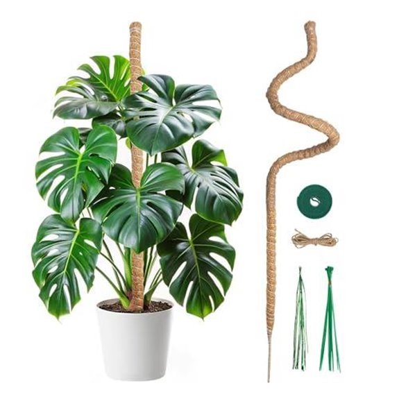 10 Best Poles for Monstera Deliciosa in 2026 7 mcbazel moss pole 47