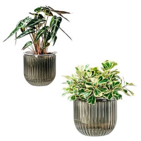 10 Best Self Watering Pots for 2026 (Plant Parenting Made Easy) 8 melphoe self watering pots 2