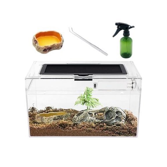 5 Best Frog Tanks for 2026 (Hop Into Happy Habitats) 1 mini reptile terrarium set