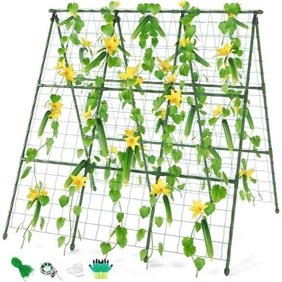 miory 48x48 a frame