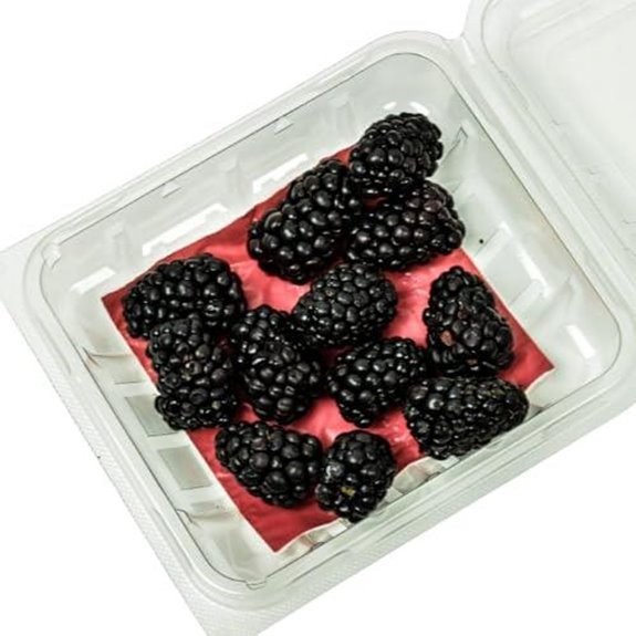 7 Best Packaging for Microgreens in 2026 (Farm to Table) 4 moisture absorbent pads for produce