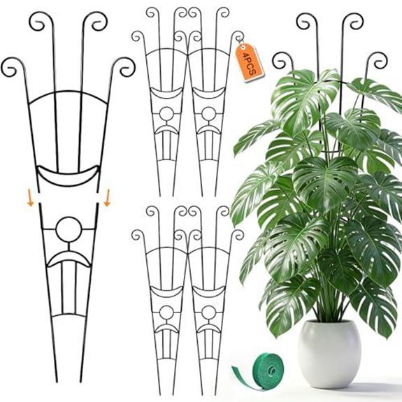 10 Best Poles for Monstera Deliciosa in 2026 5 monstera plant support stakes