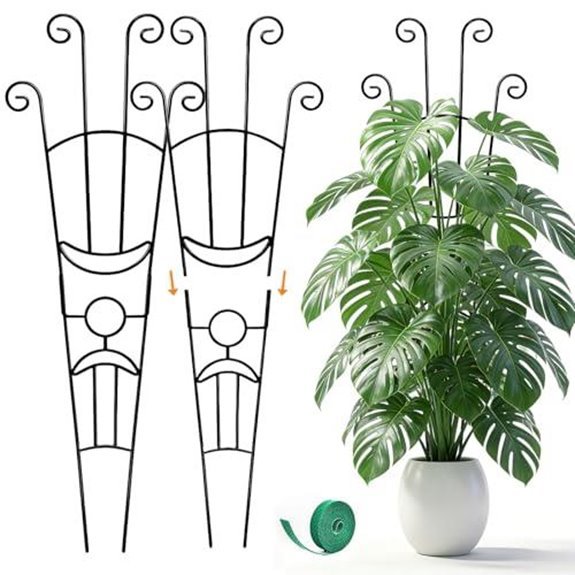 7 Best Monstera Support for 2026 (Help Them Climb High) 6 monstera plant trellis stakes