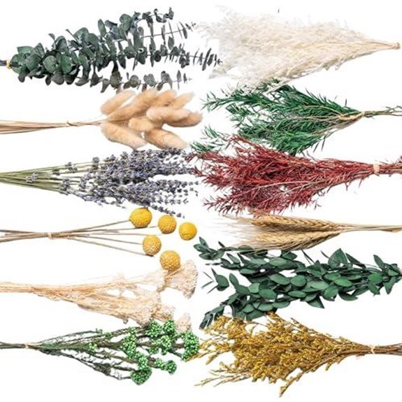 10 Best Hanging Herbs for 2026 (Grow Up, Not Out) 6 natural dried flowers kit decor
