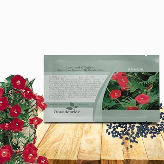 10 Best Annual Climbers for 2026 (Vertical Garden Magic) 2 outsidepride climber vine seeds 500 pcs