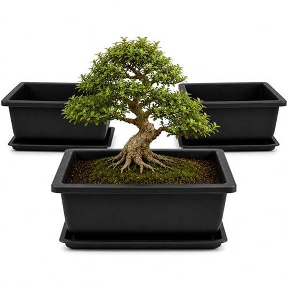 10 Best Bonsai Pots for 2026 (Your Trees Deserve Better) 8 plastic bonsai training pots 9 inch 3 pack