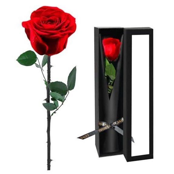 10 Best Roses to Buy for 2026 (Bouquet Goals) 5 preserved rose bouquet gift