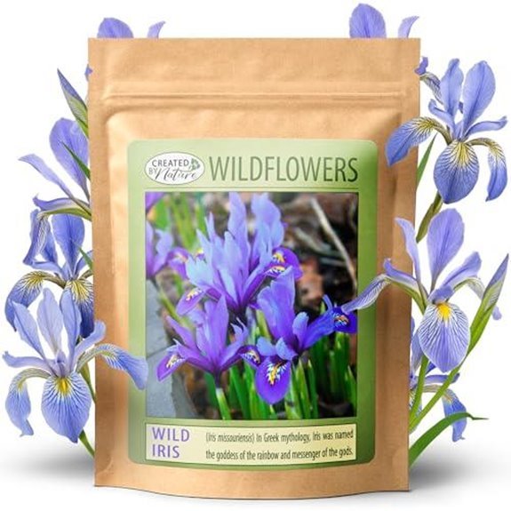 10 Best Siberian Iris for 2026 (Stunning Garden Blooms) 10 purple perennial iris seeds 400 count